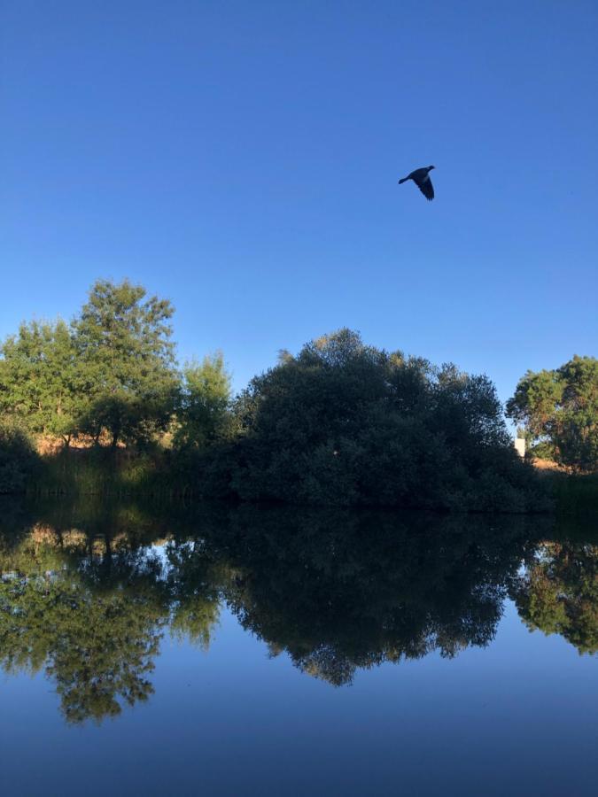 El Granado Villa Piedrabuena Dış mekan fotoğraf