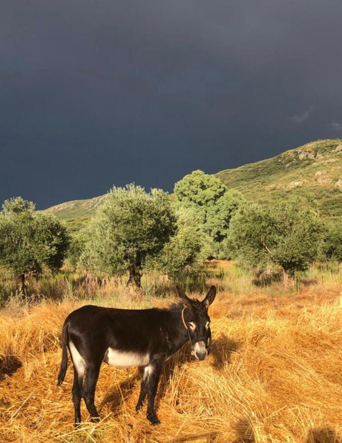 El Granado Villa Piedrabuena Dış mekan fotoğraf