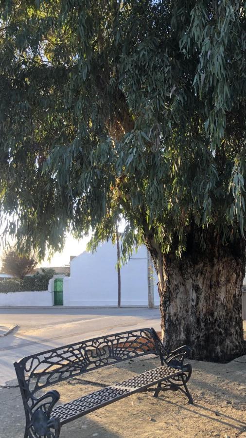 El Granado Villa Piedrabuena Dış mekan fotoğraf