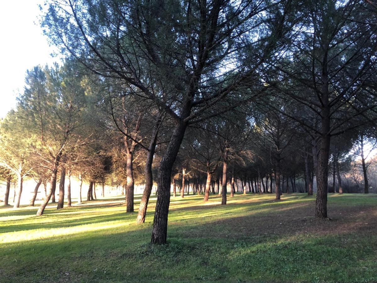 El Granado Villa Piedrabuena Dış mekan fotoğraf