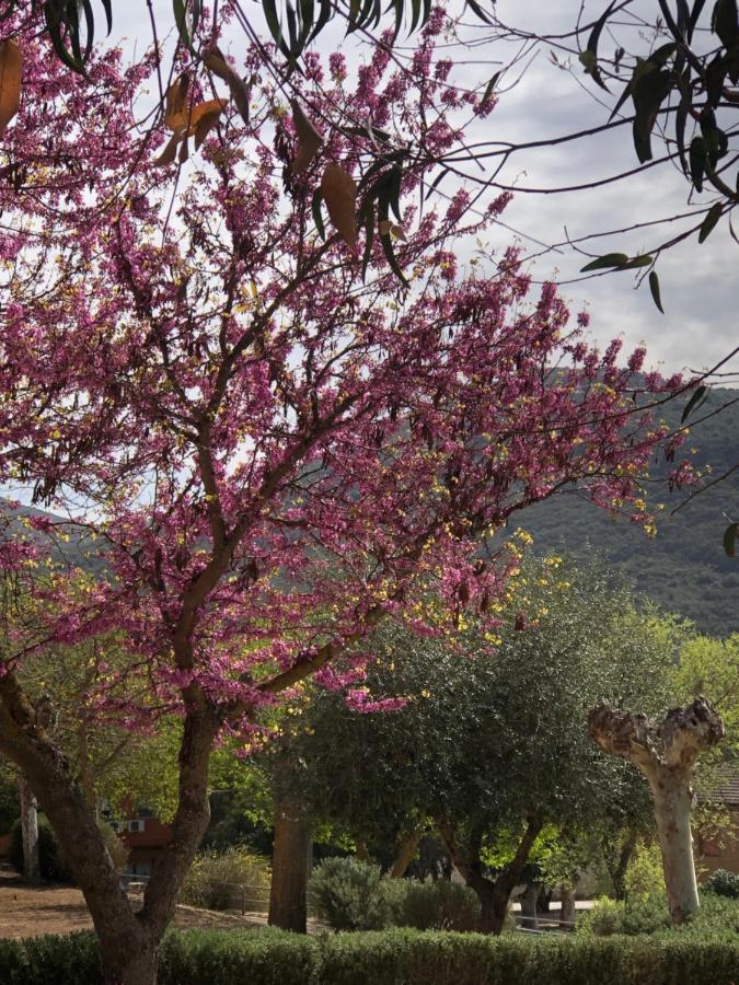 El Granado Villa Piedrabuena Dış mekan fotoğraf