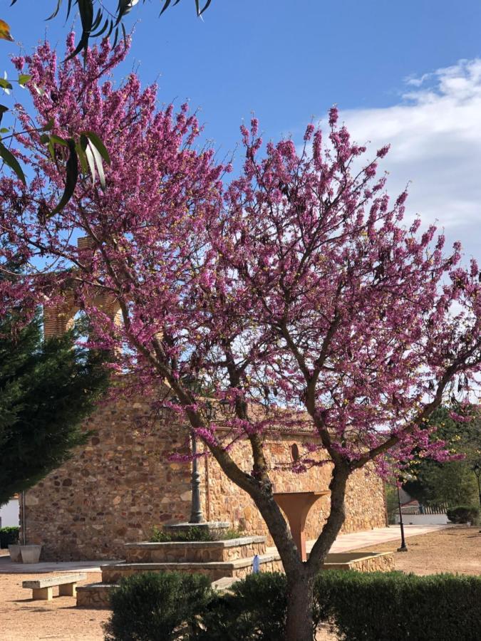 El Granado Villa Piedrabuena Dış mekan fotoğraf